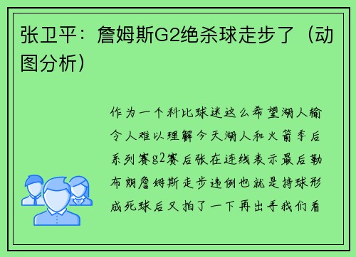 张卫平：詹姆斯G2绝杀球走步了（动图分析）